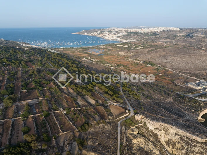 Coastal Landscape with City View