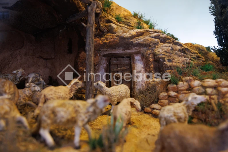 Rustic Sheep Pasture