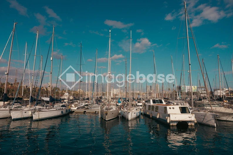 Serene Marina View