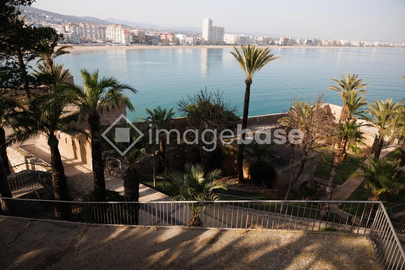 Coastal Cityscape with Palm Trees