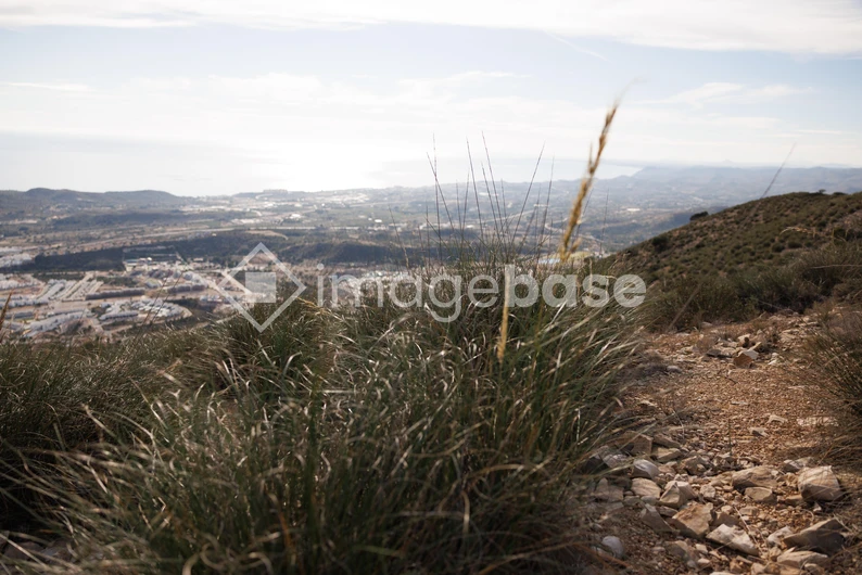 Scenic Mountain View