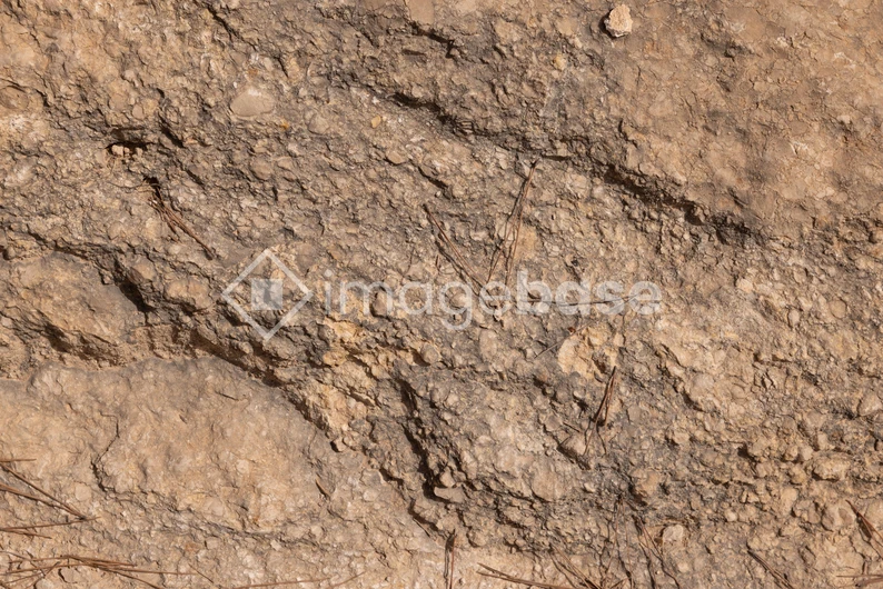 Textured Earth Surface