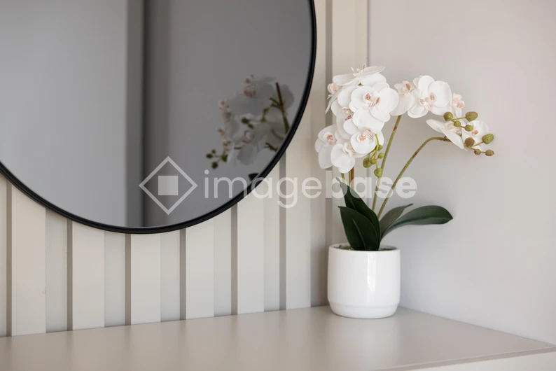 Minimalist Decor with Orchid
