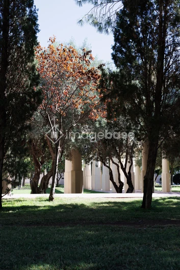 Serene Park with Columns