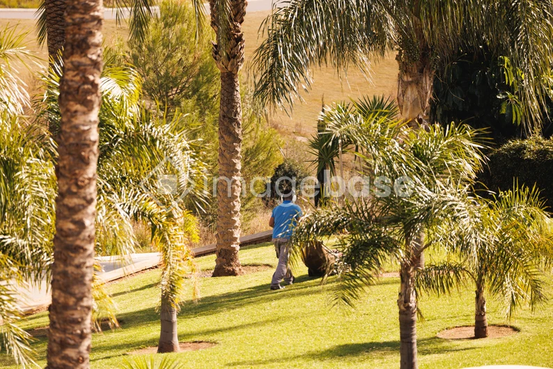Palms and Leisure