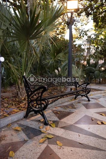 Tranquil Park Bench