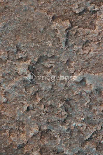 Rugged Earth Texture