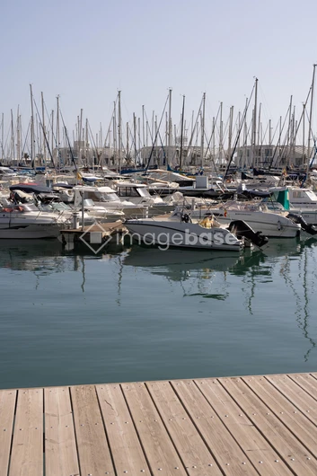 Serene Marina View