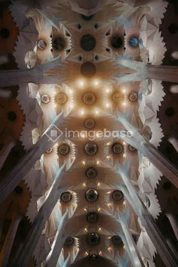 Intricate Architectural Ceiling
