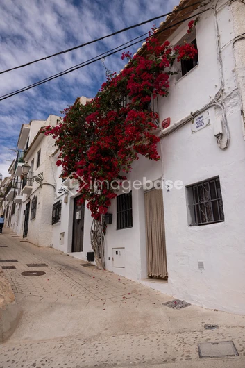 Charming Whitewashed Street