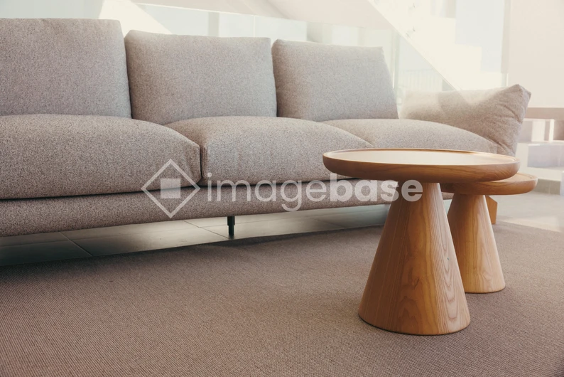 Modern Living Room Interior