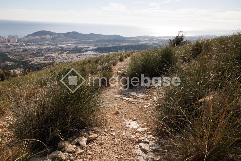 Scenic Coastal Trail