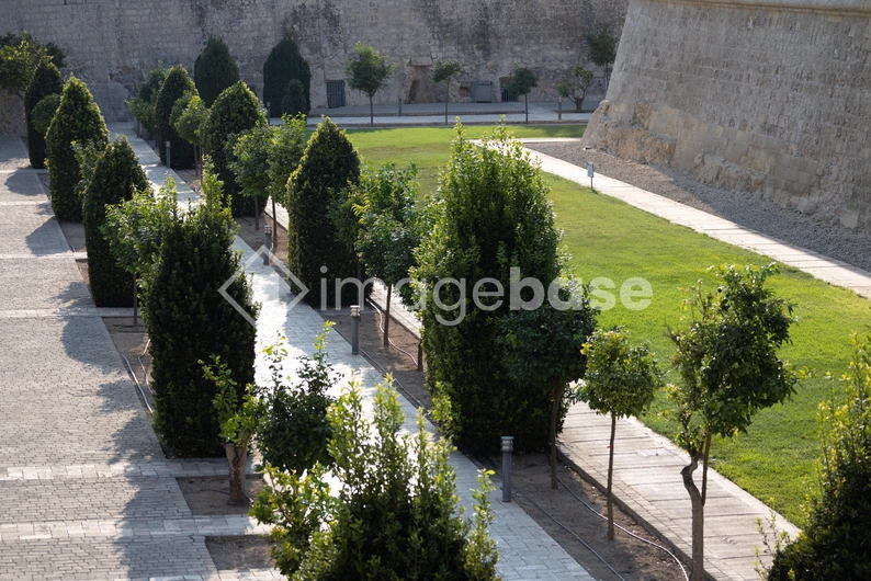 Serene Garden Pathway