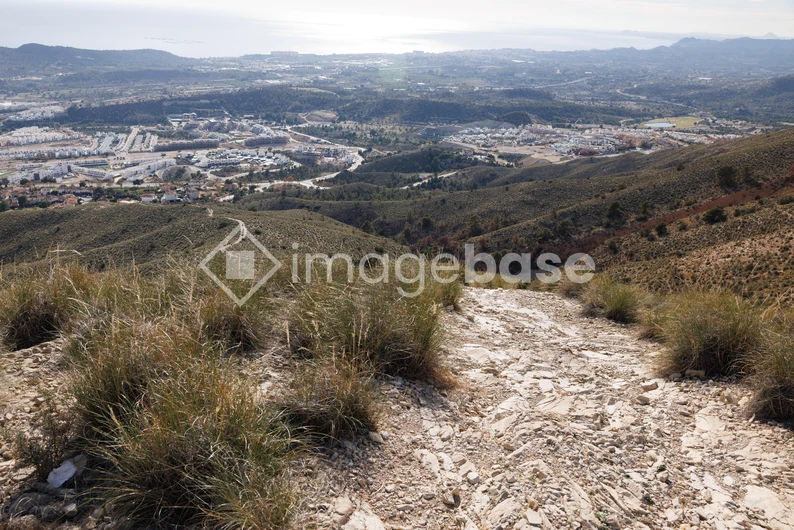Scenic Mountain View