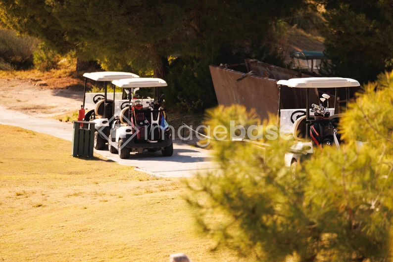 Golf Course Tranquility
