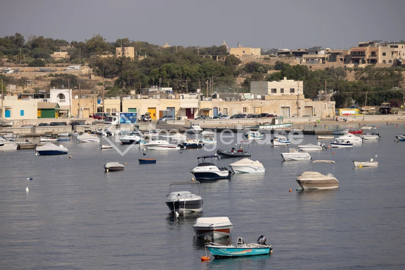 Marina with Boats