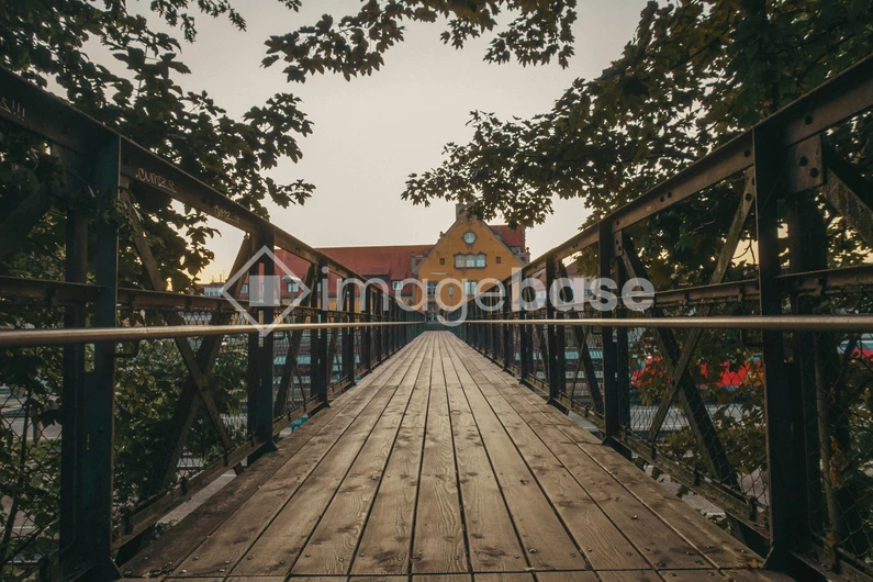 Wooden Bridge Under Tree Canopy