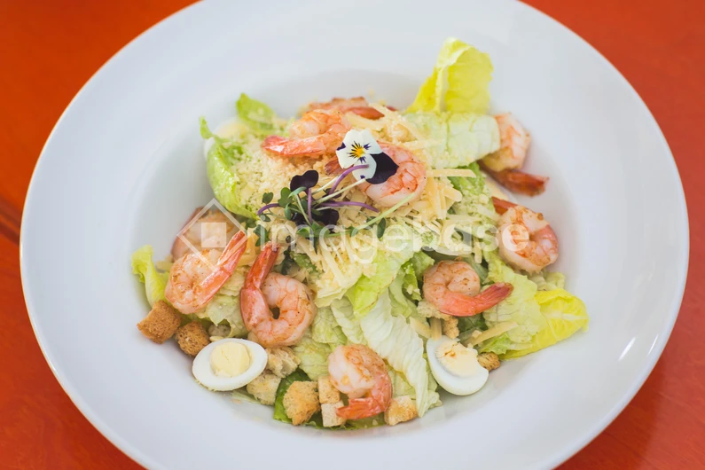 Fresh Shrimp Salad