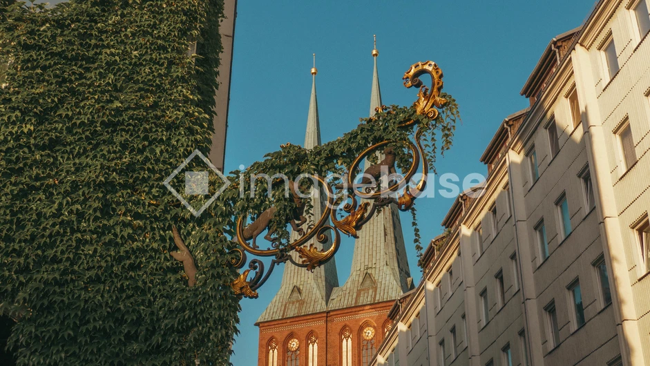 Historic Architecture and Ivy