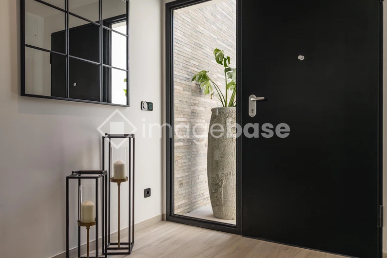 Modern Entryway Design