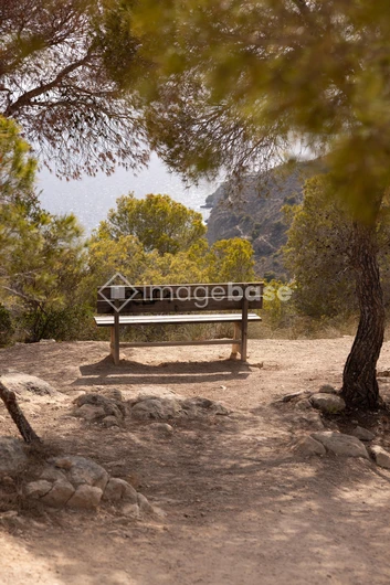 Serene Clifftop Bench