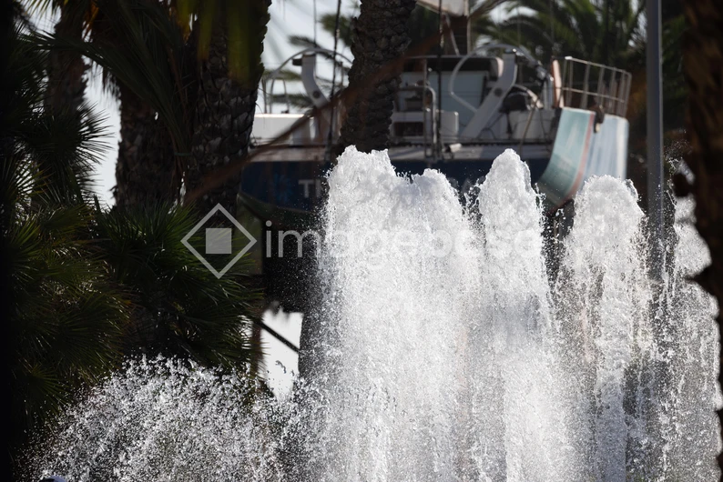 Fountain and Palm Trees