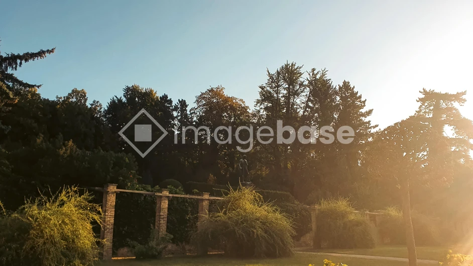 Sunlit Garden Scene