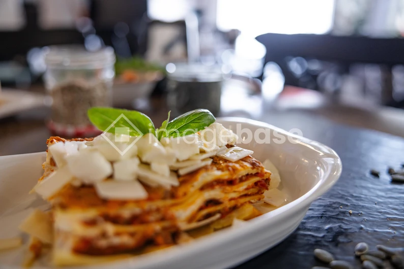 Delicious Lasagna Dish