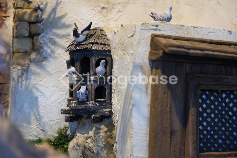 Rustic Birdhouse and Pigeons