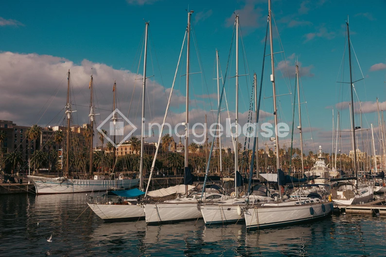 Marina with Sailing Boats