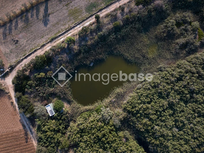 Aerial View of a Natural Pond