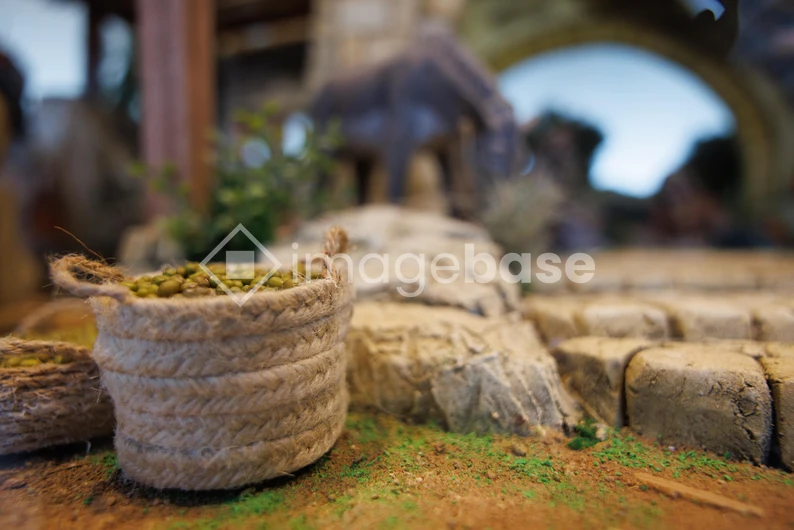 Rustic Basket in Natural Setting