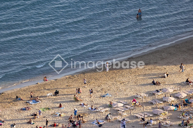 Busy Beach Scene