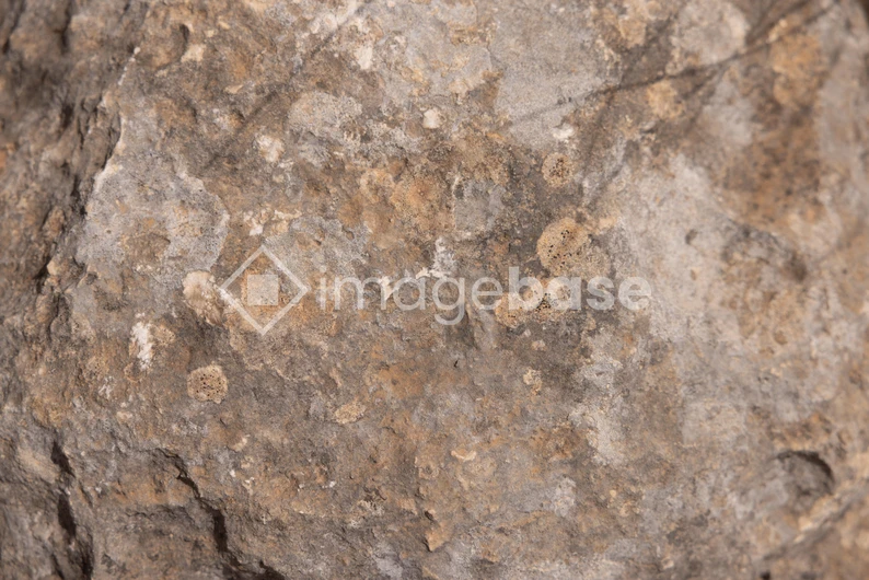 Close-up View of Rock Surface