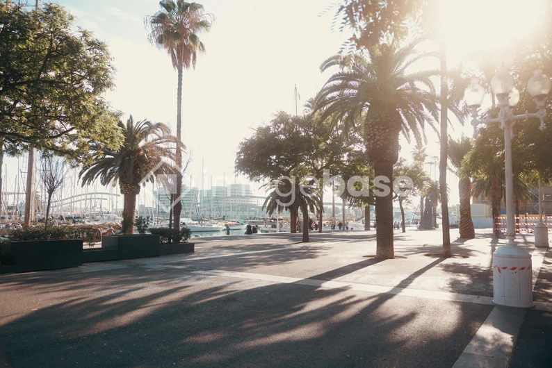 Sunny Urban Promenade