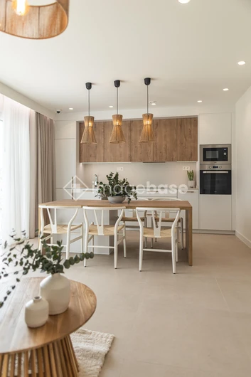 Modern Minimalist Kitchen