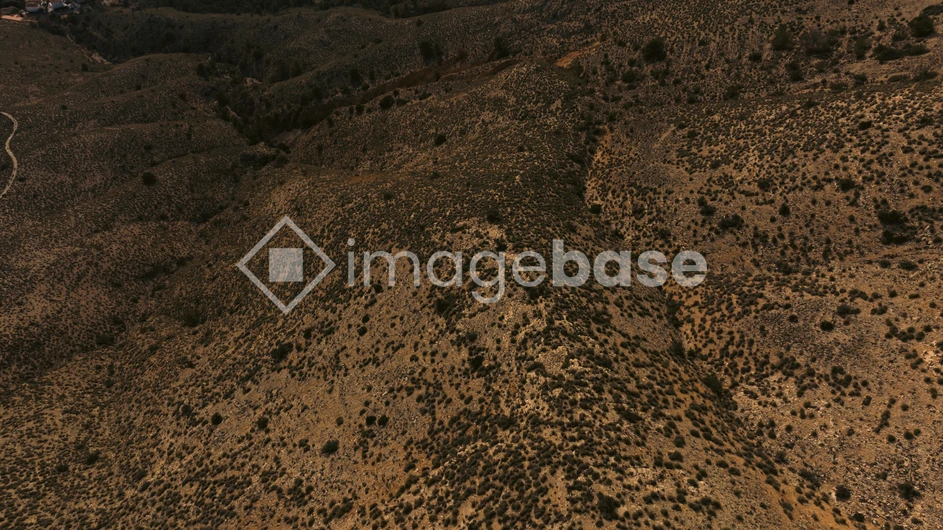 Arid Hillside Landscape