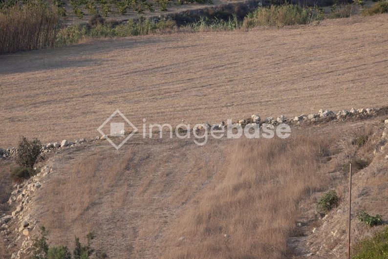 Tranquil Rural Landscape