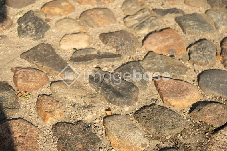 Textured Stone Pathway