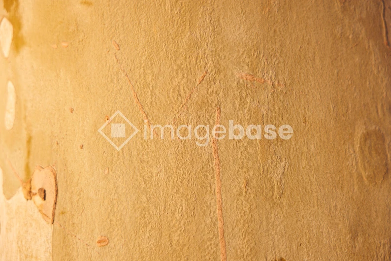 Textured Wall Close-up