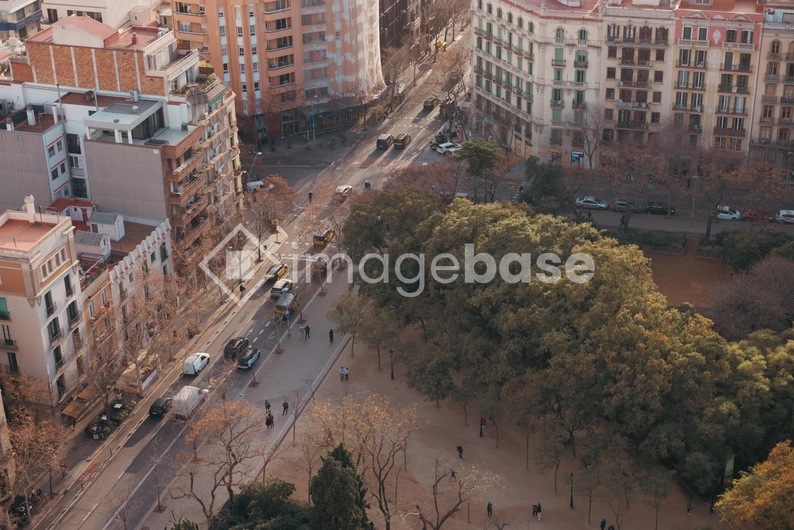 Urban Park View