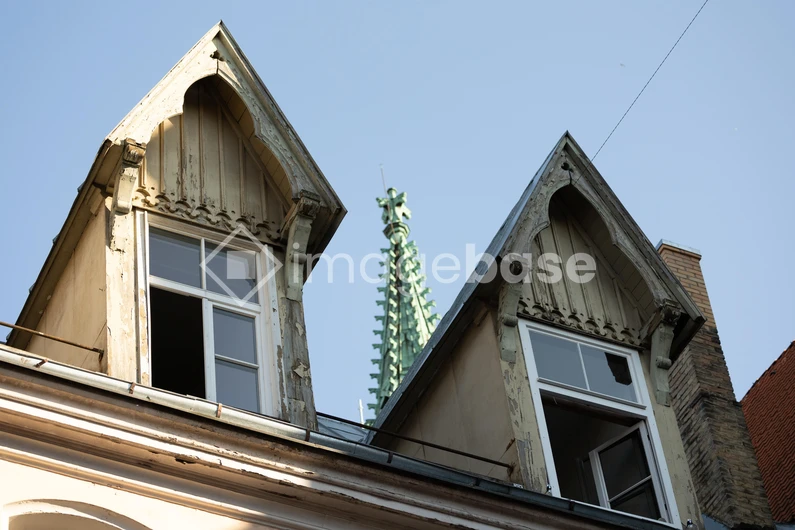 Historic Rooftops