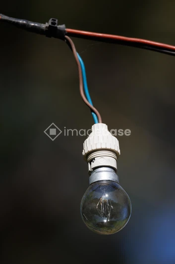 Hanging Light Bulb
