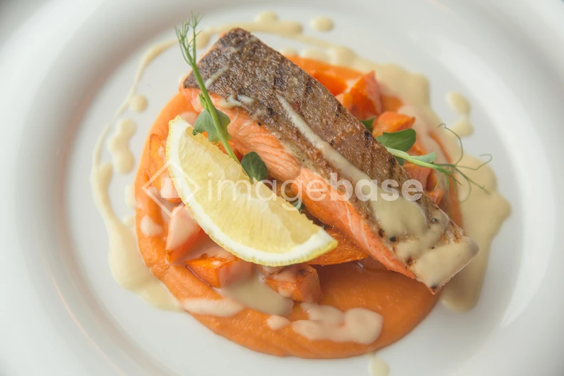 Gourmet Salmon Dish