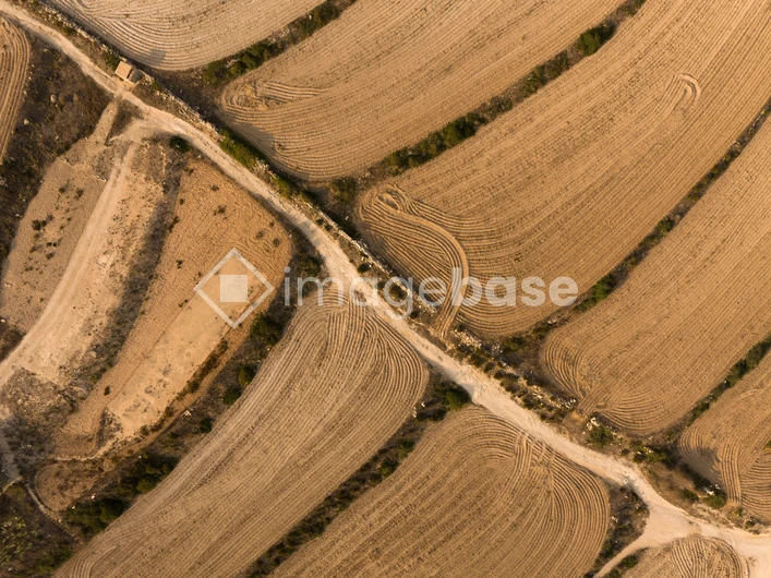 Aerial View of Farmland