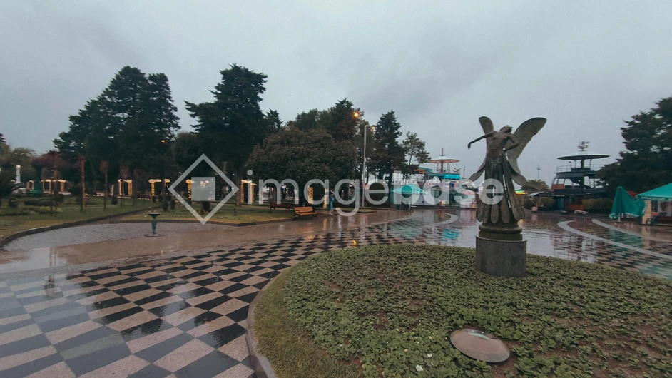 Rainy Park View