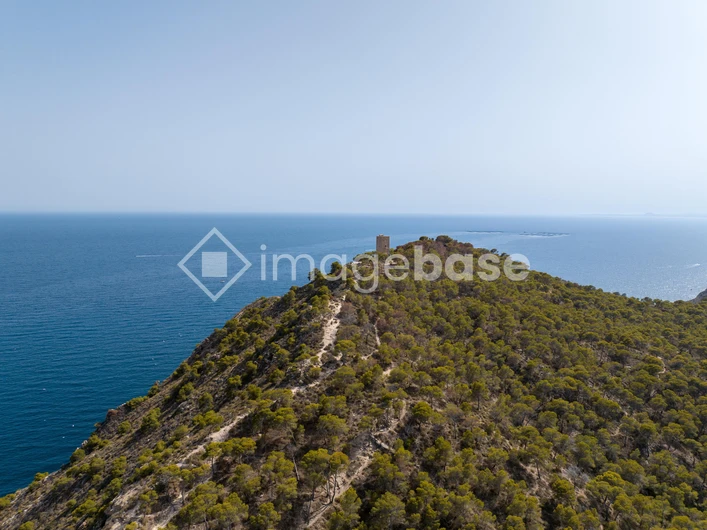 Coastal Lookout Tower