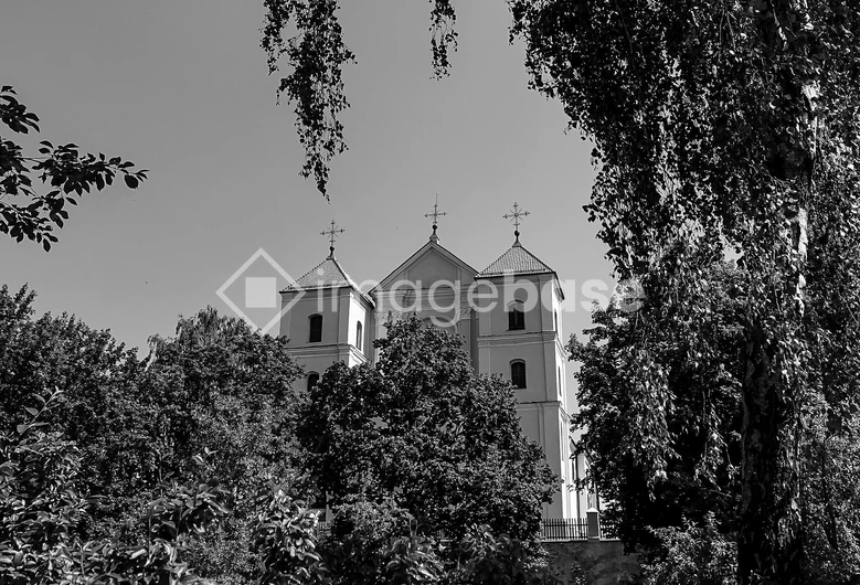 Historic Church Behind Trees