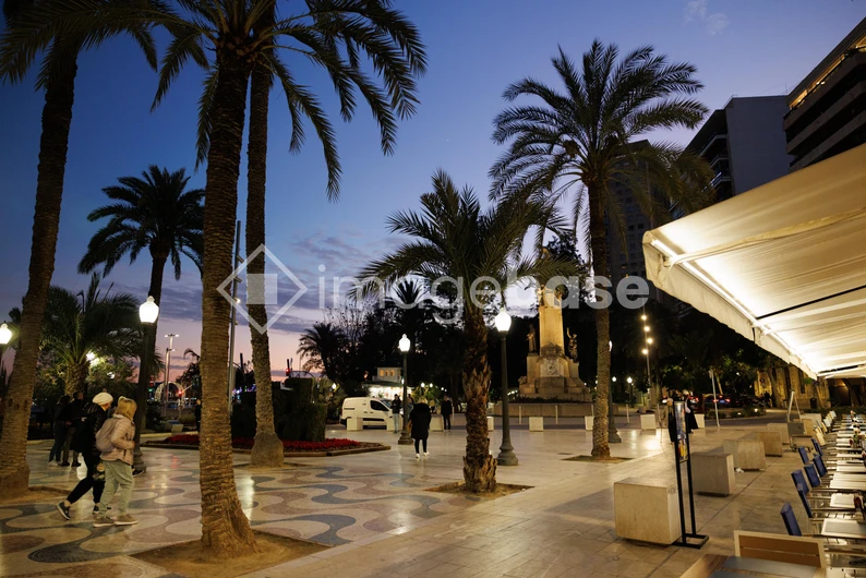 Evening Stroll Along Palm-Lined Promenade