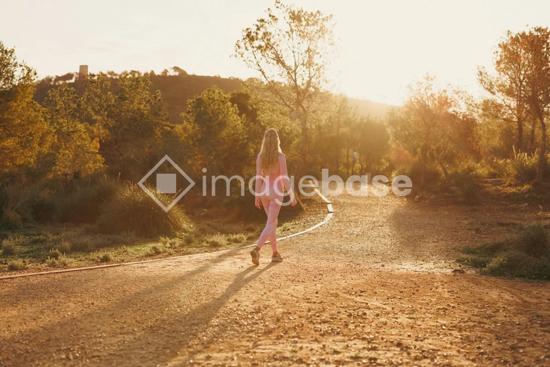 Sunlit Nature Walk